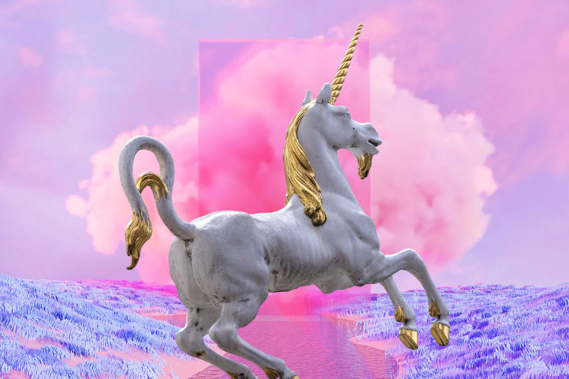 unicorn.jpg